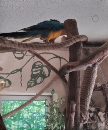 IMG_20250613_100504-849x1024