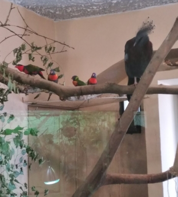 IMG_20250613_100653-927x1024