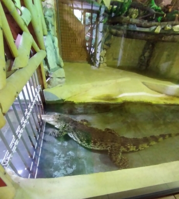 IMG_20250613_100536-923x1024