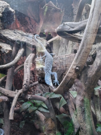 IMG_20250613_101006-768x1024