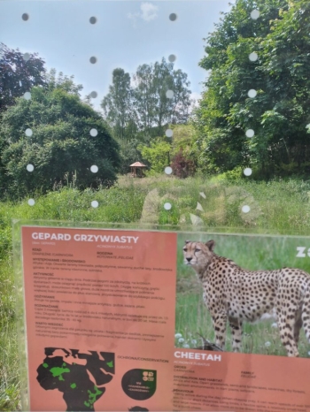 IMG_20250613_101224-768x1024