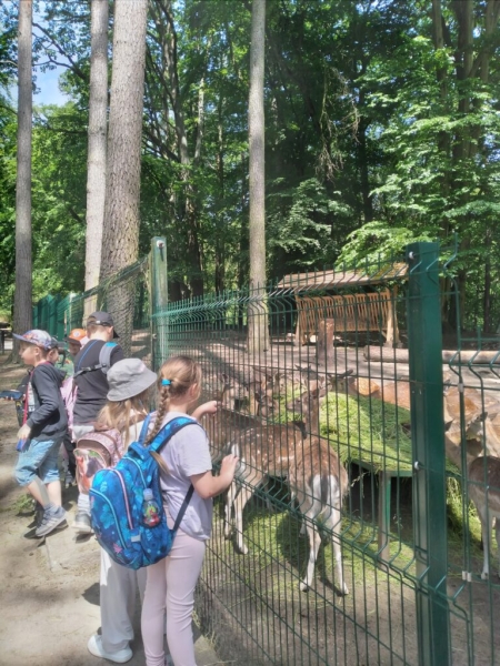 Wycieczka klas 1–3 do gdańskiego ZOO